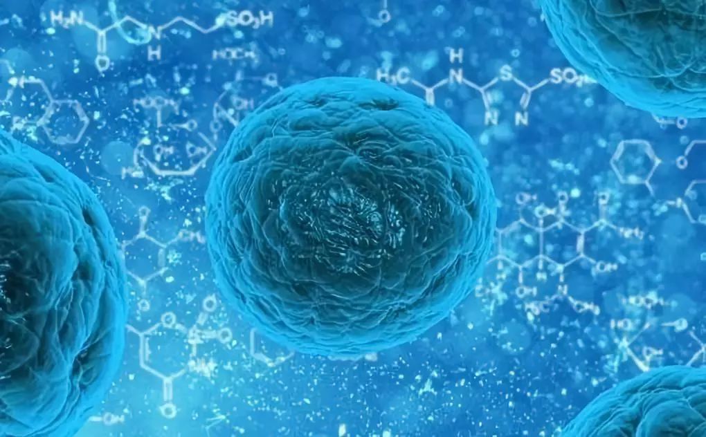 四维空间的物体真的存在吗,三维世界如何判断四维空间的存在