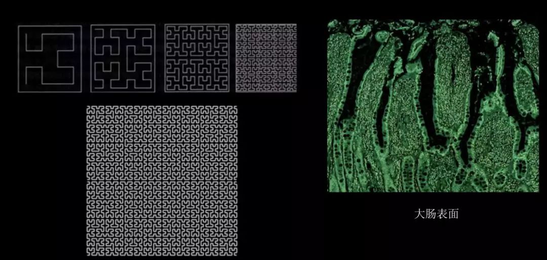四维空间的物体真的存在吗,三维世界如何判断四维空间的存在