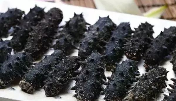 大连金三角海参批发市场海参价格,印尼海参好还是大连海参好