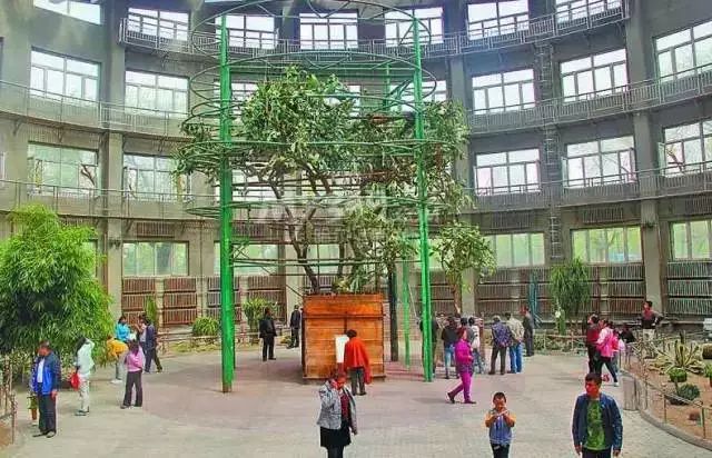 哈尔滨师范大学东三省,哈师大东三省实力排名