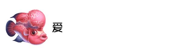 罗汉鱼苗养不出状态怎么办,罗汉鱼苗适合多大的缸饲养