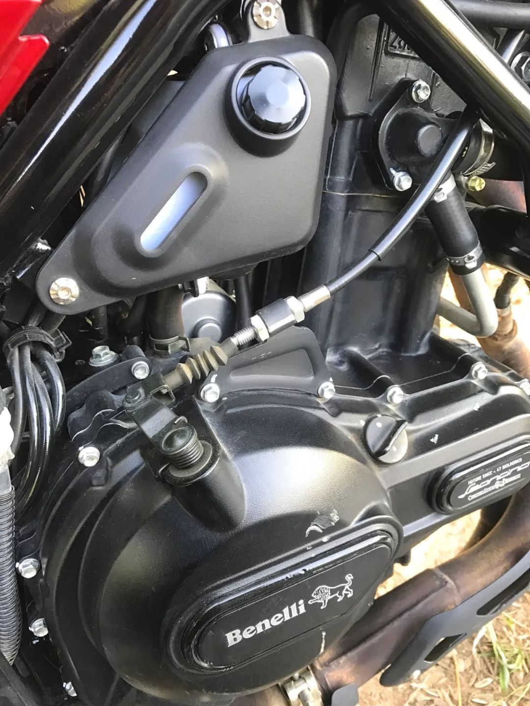 贝纳利幼狮leoncino500底价,幼狮500leoncinotrail