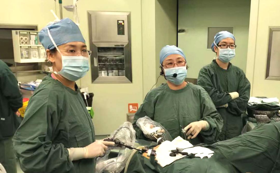 「会议报道」2018年国家癌症中心妇科肿瘤微创手术高峰论坛暨中国妇幼保健学会妇幼微创分会年会盛大开幕