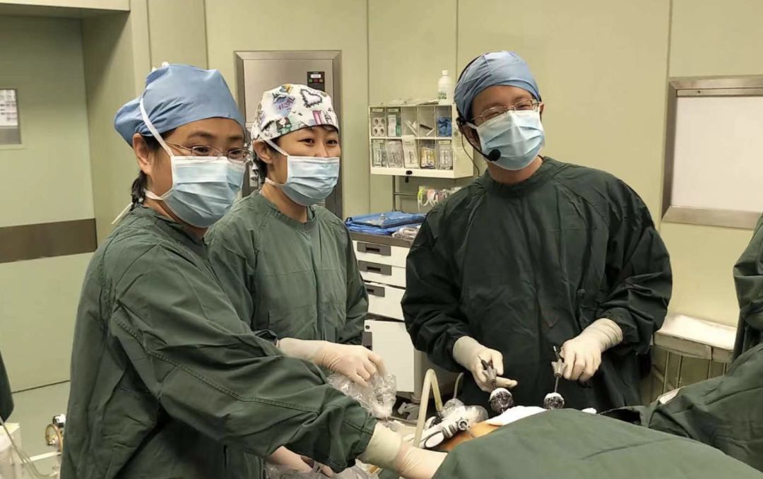 「会议报道」2018年国家癌症中心妇科肿瘤微创手术高峰论坛暨中国妇幼保健学会妇幼微创分会年会盛大开幕