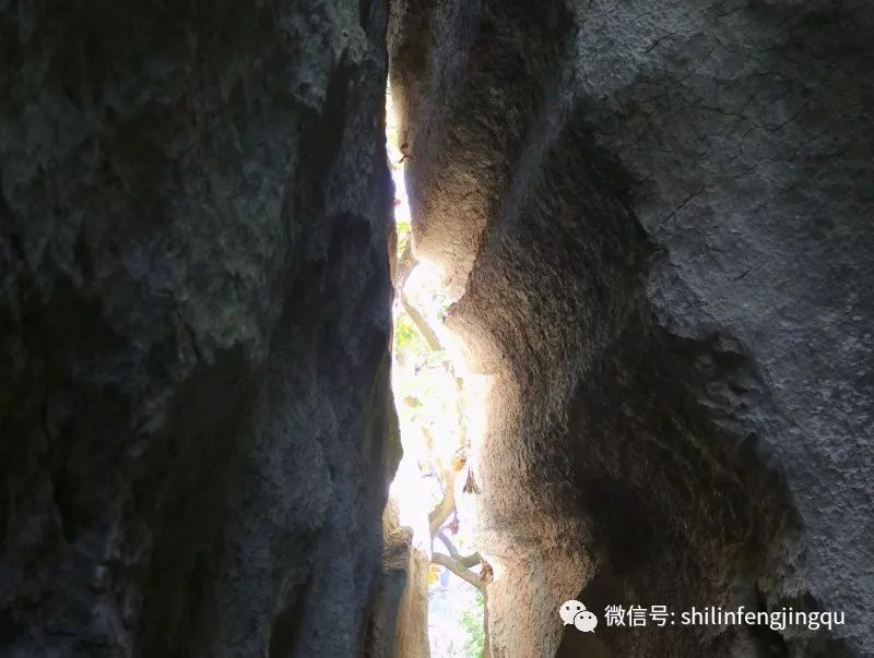 石林是喀斯特地貌的精华吗,云南石林喀斯特地貌特征