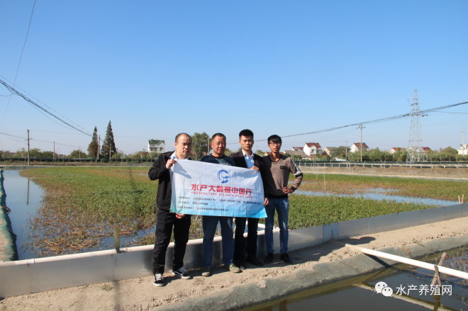 育蟹苗一年赚多少,蟹苗培育基地优惠