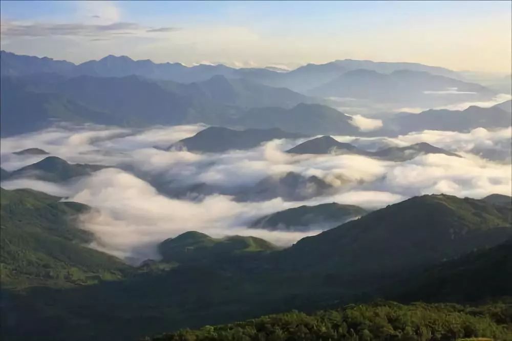 防城港酒店宾馆推荐,防城港酒店推荐亲子