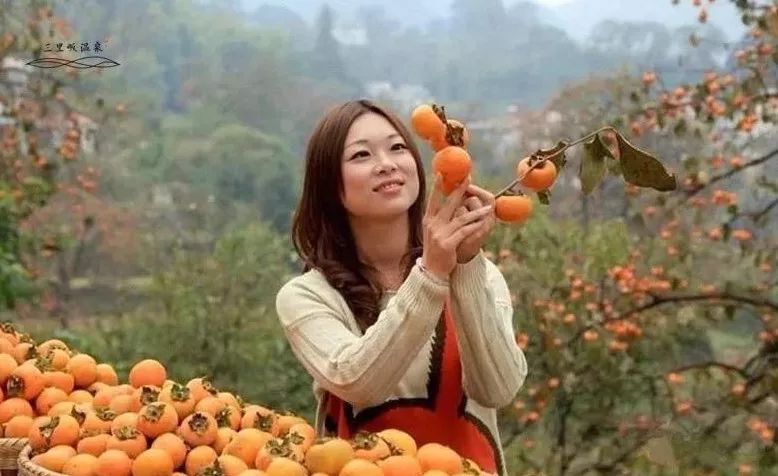 温泉吃吊锅,吊锅温泉