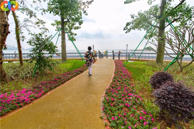 珠海海滨公园值得去吗,珠海旅游攻略海滨公园路线