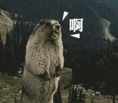 13岁男孩玩网游15天充值1万多,8岁男孩玩网游偷偷充值