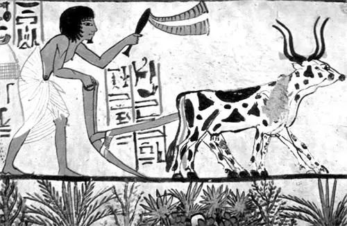 古代文明的起源及类型:有点讽刺,文明始于奴役及不平等