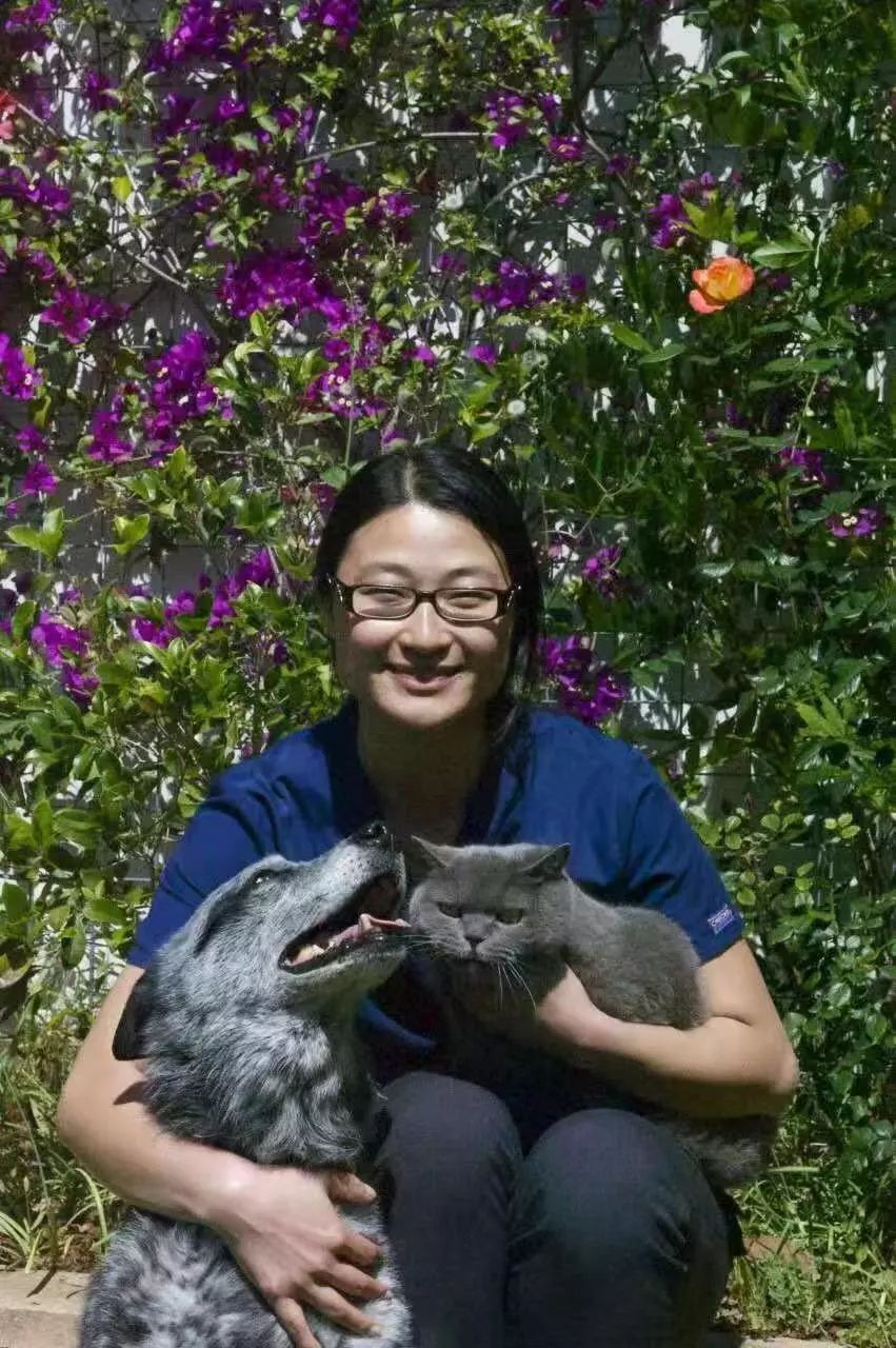 成为兽医的10个秘密,想成为兽医的第一步是什么