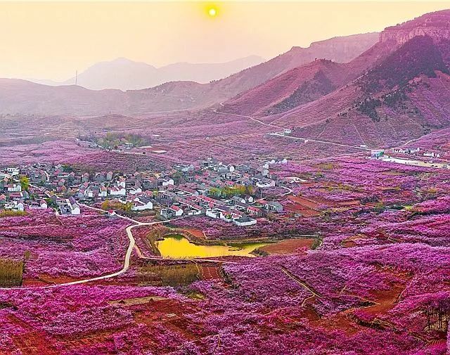 临沂田园综合体,临沂沂南田园综合体名单