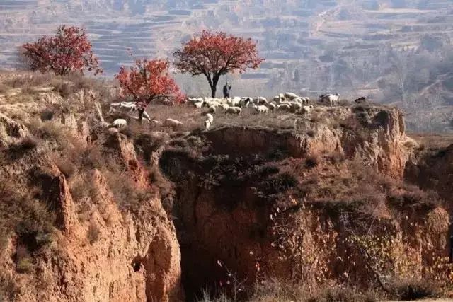 陕北方言合集,陕北方言大全集