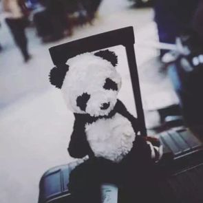 行囊装满的是人生,自己的行囊里装满了酸甜苦辣