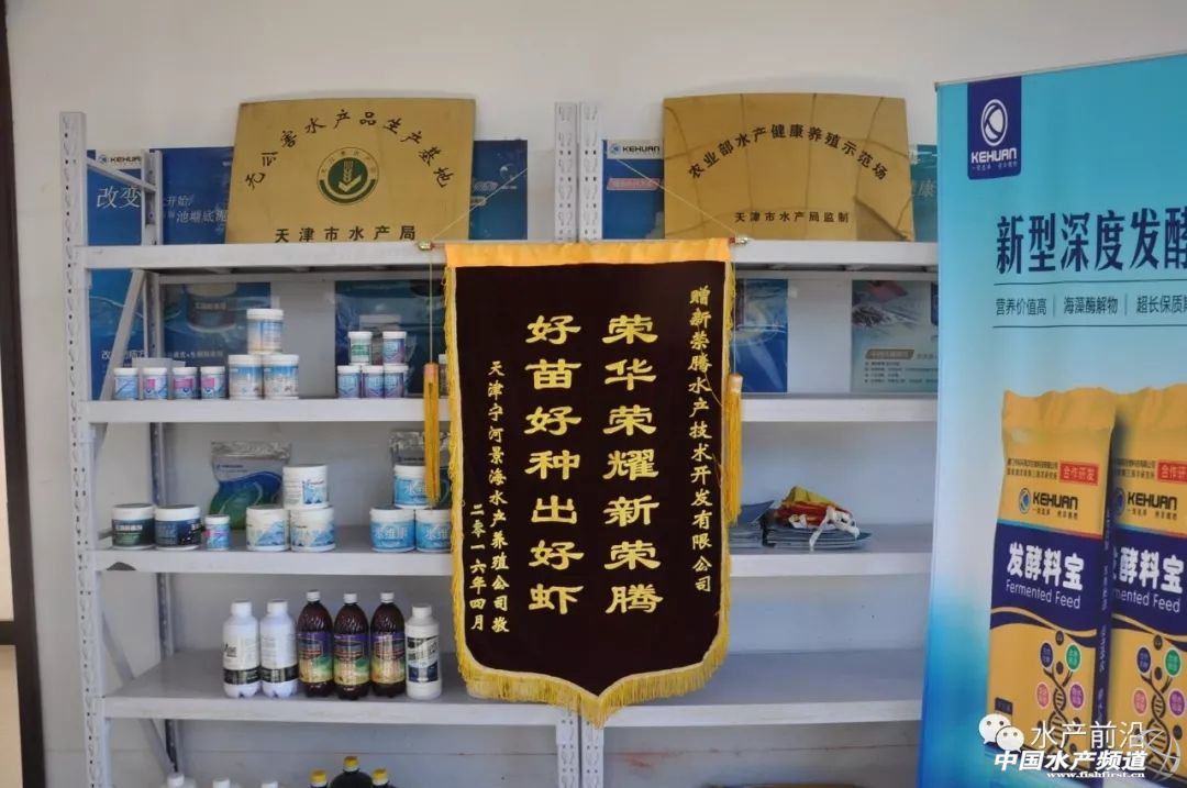 好虾苗如何定义?十年忠实粉丝告诉你这尾虾的优势