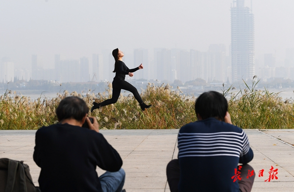 东湖水杉林武汉最美的秋色,航拍武汉风景