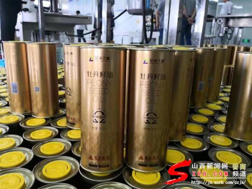 高质量的转型发展,产业园区新地标