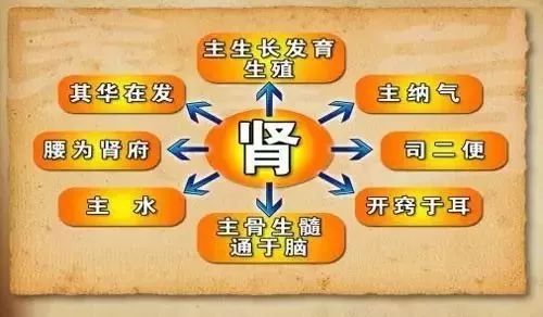 腰酸背痛精力不足是什么原因,腰酸背痛肾气不足