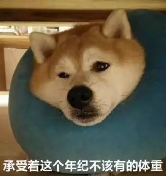 降雪降温降临多地大暴雪强势出击,降雪降雨降温来袭多地受影响