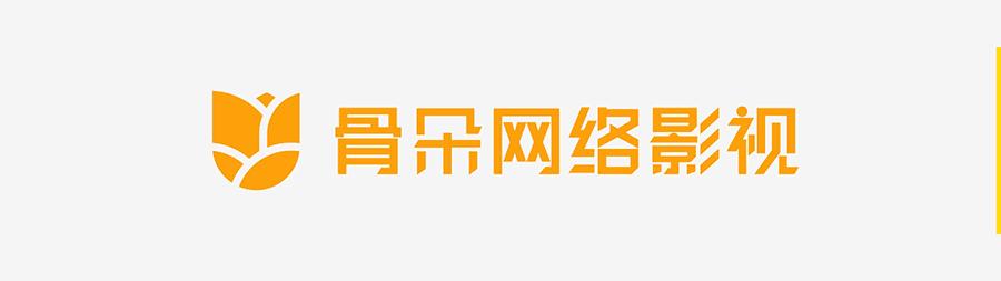 王微动画,王微创业