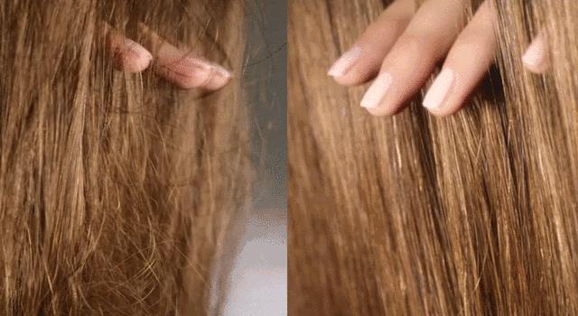 团|你的头发一根都不许掉！用它，还能3天不洗头依然干爽不油腻