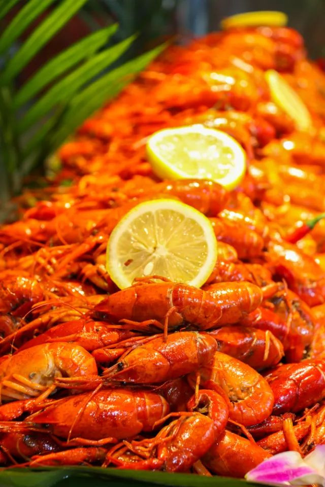 集渔冬阴功小龙虾自助,99元套餐活虾现做小龙虾送上门