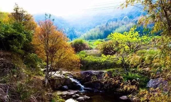 深圳旅游五日游景点推荐,深圳五一游玩线路汇总