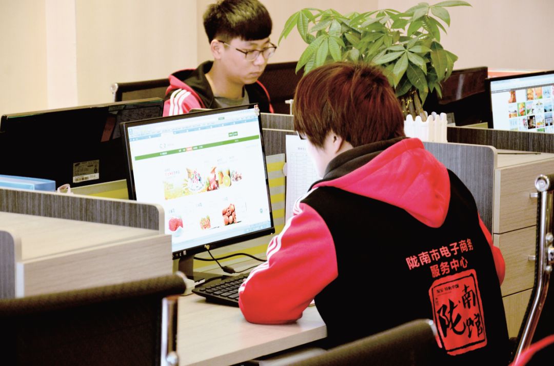 陇南：从“提篮小卖”到“网销全球”