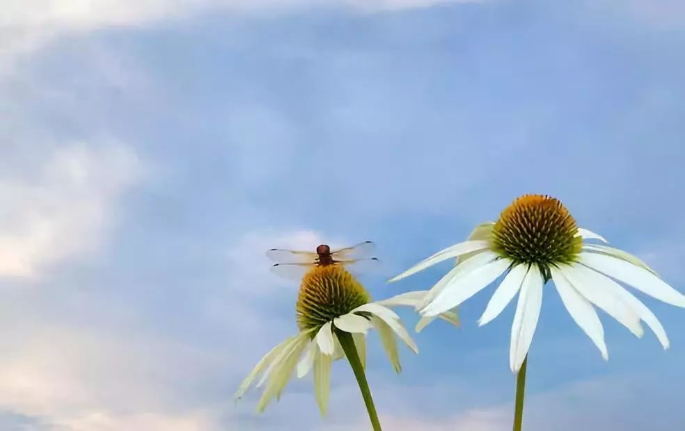 癌症骨转移了还有希望吗,癌症为什么骨转移就没救了