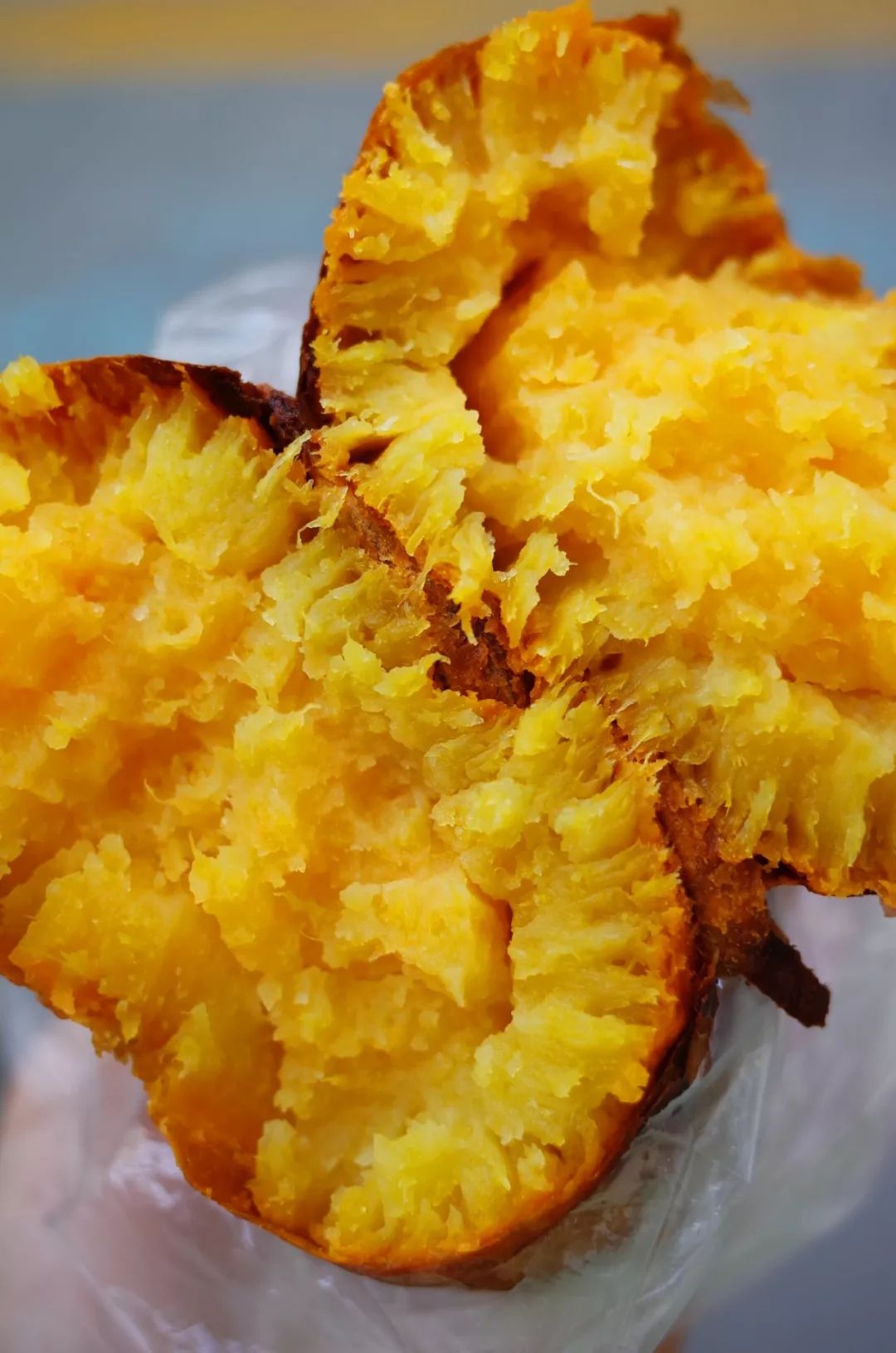 人间不值得但是人间很美好,人间不值得但是你值得是谁说的