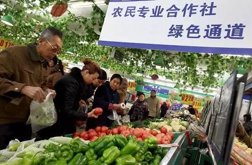 鍏ㄥ浗浼樼鍐滄皯涓撲笟鍚堜綔绀剧ず鑼冪ぞ,鍩哄眰鏈嶅姟鏍囨潌