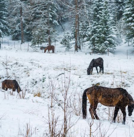 这里的冬天曾是“禁地”，现在是人神共享的冰雪秘境，机票低至¥500！