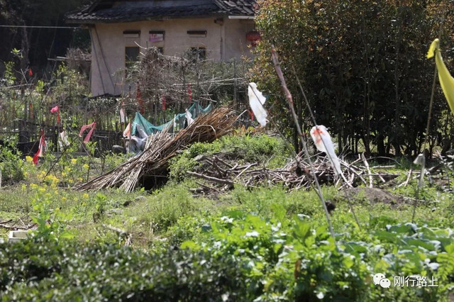 去福建土楼要先去哪个景区游玩,福建土楼永定土楼值得去吗
