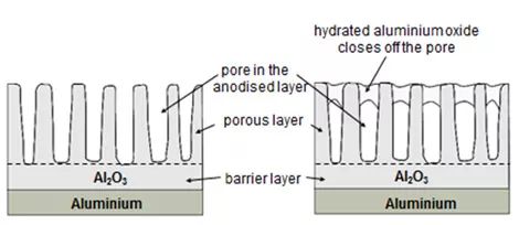 为什么苹果不会烂,苹果一直摘壳会不会掉漆