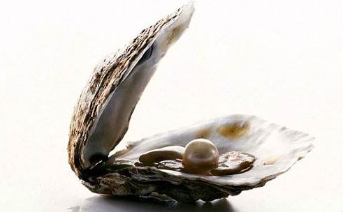 蚝情万丈烧烤,蚝情万丈连锁店