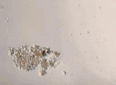 怎样去除女裤内裆异味,女性裤子裆部有异味怎么办