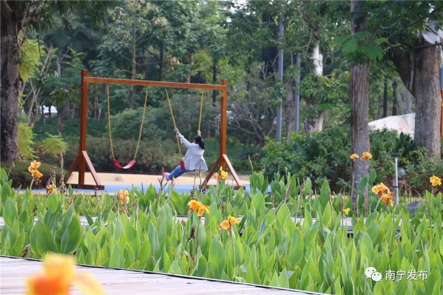 百里秀美邕江起点和终点,南宁百里秀美邕江从哪里到哪里