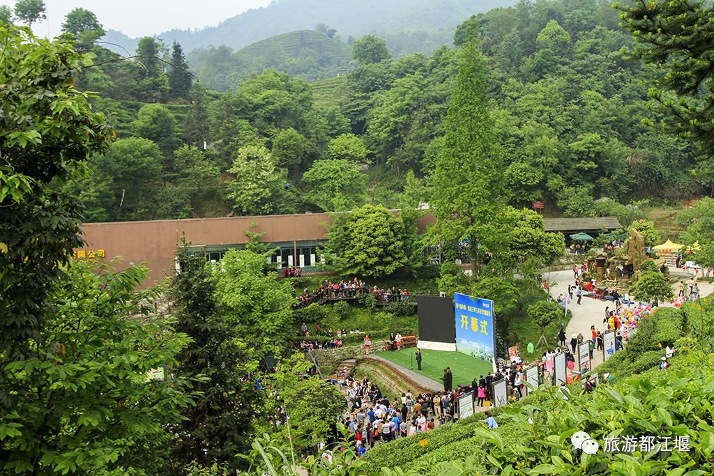 成都旅游全攻略自由行都江堰,成都旅游3-4天攻略最佳线路都江堰