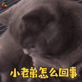 拔牙后什么时候能吃荤菜,拔牙后吃东西不用忌口吧