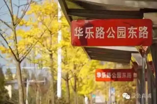 满城尽带黄金甲取景地图片,满城尽带黄金甲震撼场景