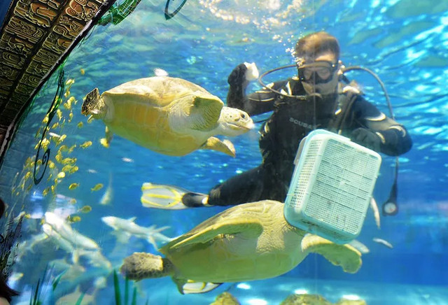 天津欢乐谷十一9.9元,天津欢乐谷中秋节攻略