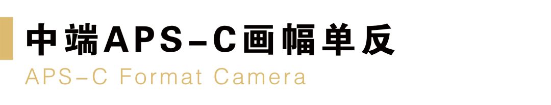 什么品牌相机最好尼康佳能,目前买尼康相机什么型号最好