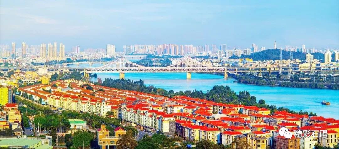 东莞电子龙头企业,东莞市台资电子科技