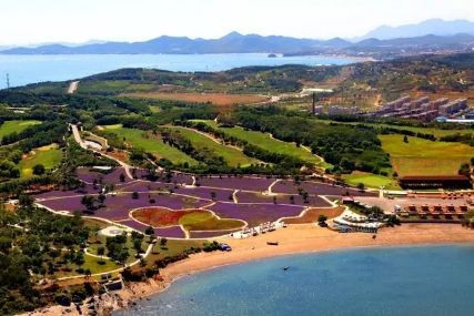 大连适合避暑的地方,大连避暑