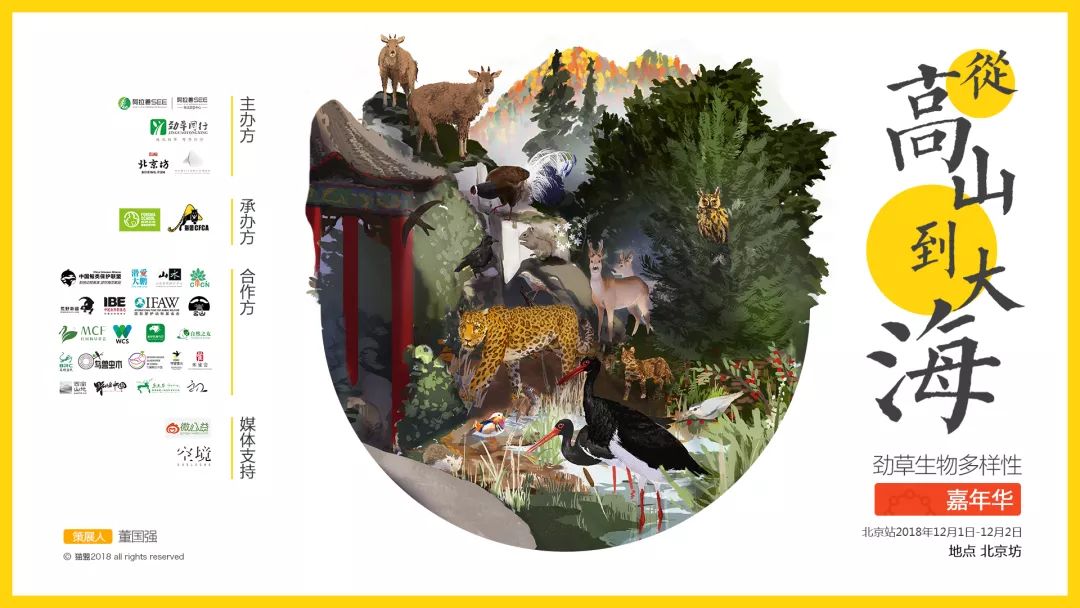 这么多大师，你打算带哪个回家？