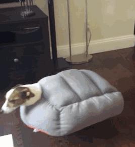 踢脚线取暖器真的可以全屋取暖吗,不占地方的取暖器