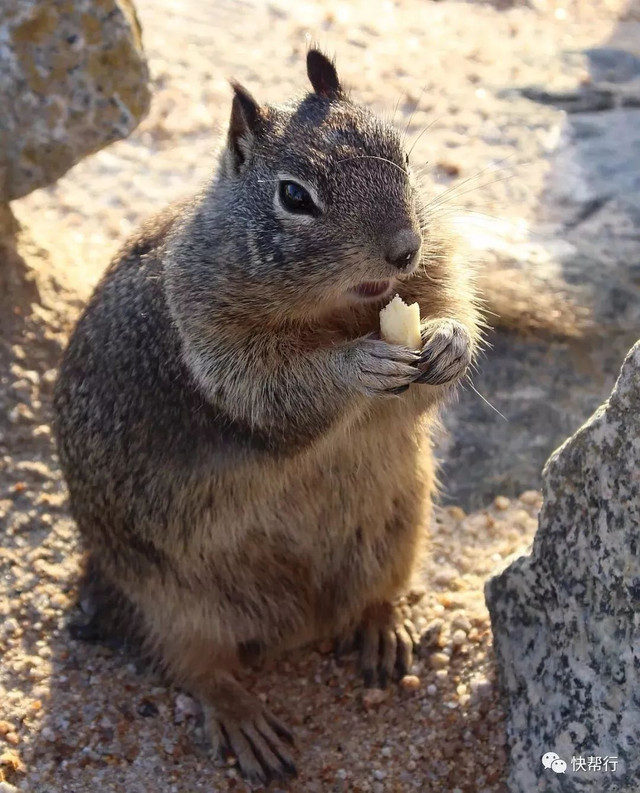 当我一个人来到旧金山,再见旧金山