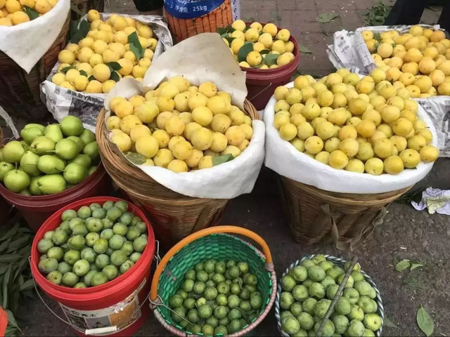 成都周边野花,成都周边花谷景区推荐
