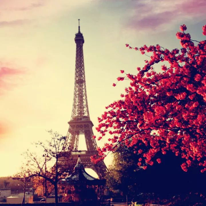 黑龙江有什么让你留恋的,你对黑龙江的第一印象